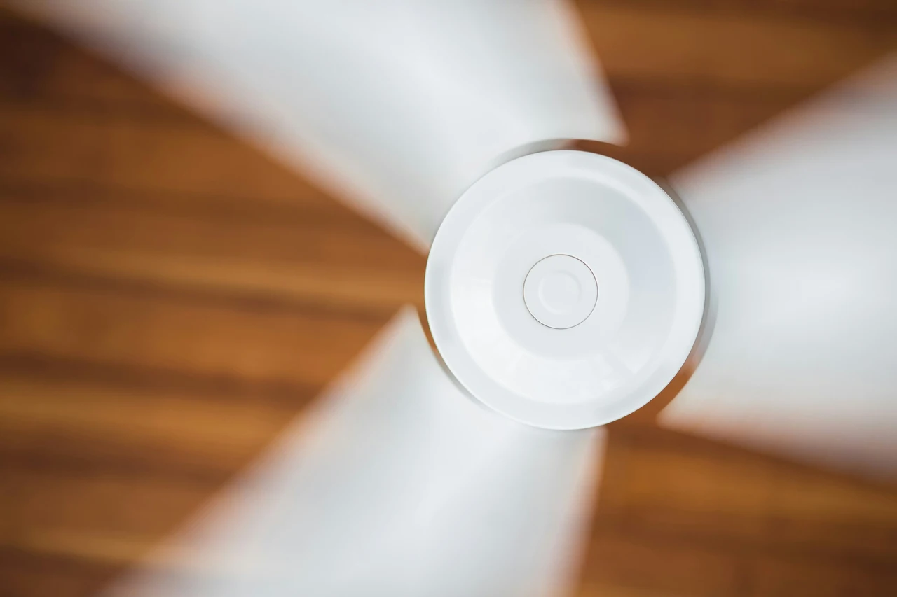 Le migliori soluzioni per mantenere la casa fresca anche senza condizionatore Le migliori soluzioni per mantenere la casa fresca anche senza condizionatore
