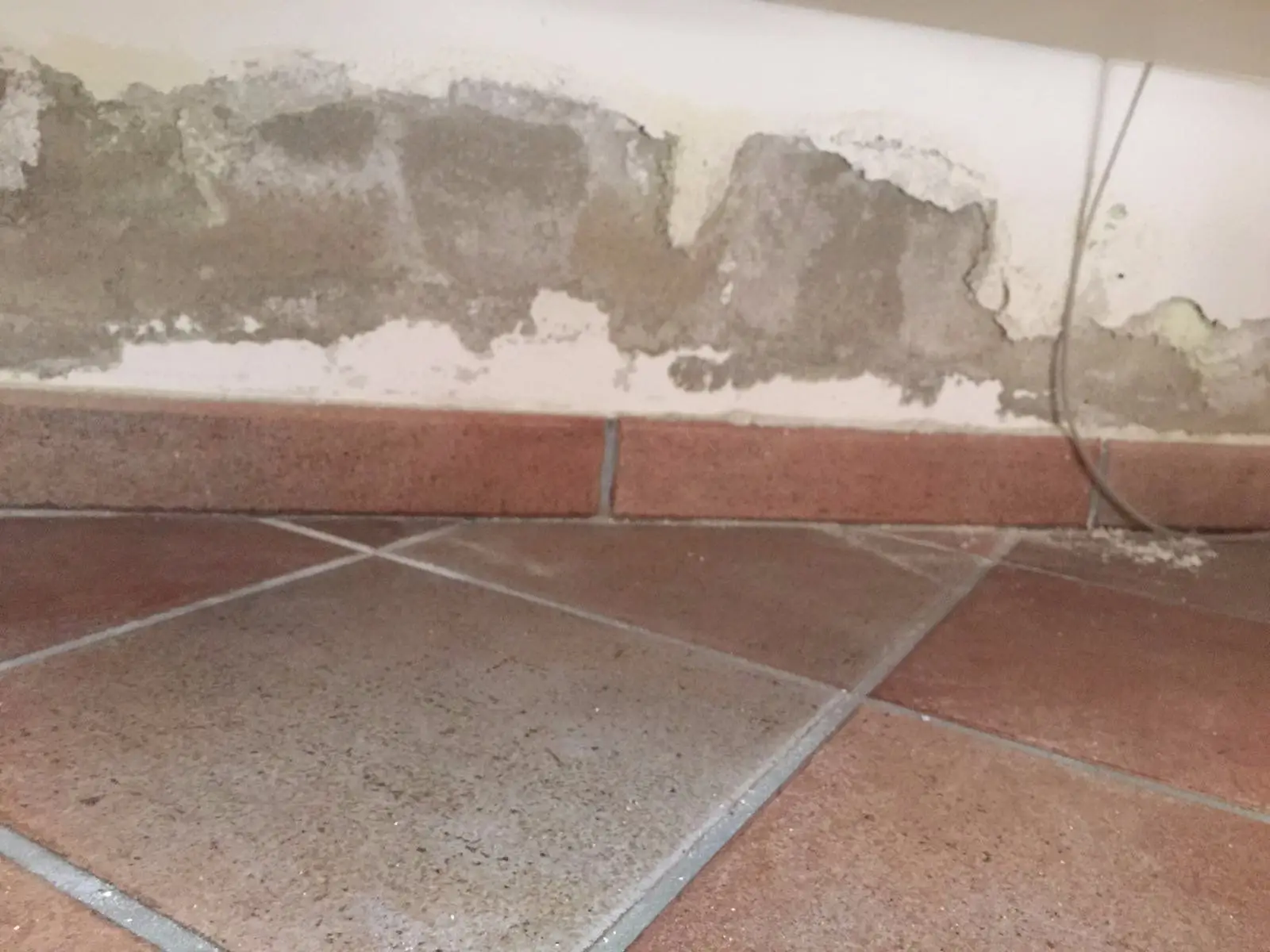 La guida definitiva per pulire le fughe dei pavimenti senza prodotti costosi La guida definitiva per pulire le fughe dei pavimenti senza prodotti costosi