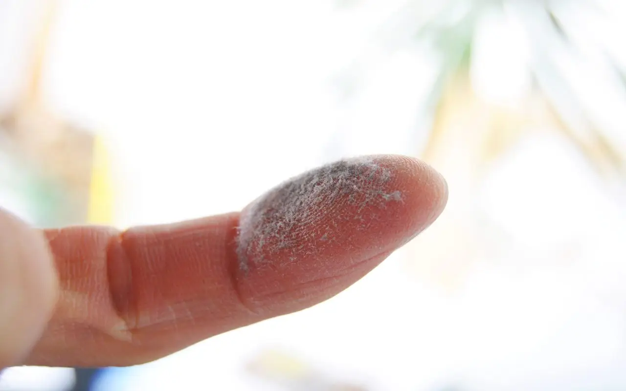 Il metodo infallibile per eliminare la polvere in poche mosse Il metodo infallibile per eliminare la polvere in poche mosse