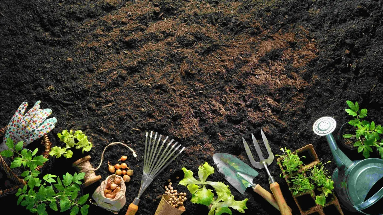 Vuoi un prato verde anche senza irrigazione? Prova la tecnica della pacciamatura raccomandata dall’Accademia Italiana di Agricoltura Vuoi un prato verde anche senza irrigazione? Prova la tecnica della pacciamatura raccomandata dall’Accademia Italiana di Agricoltura