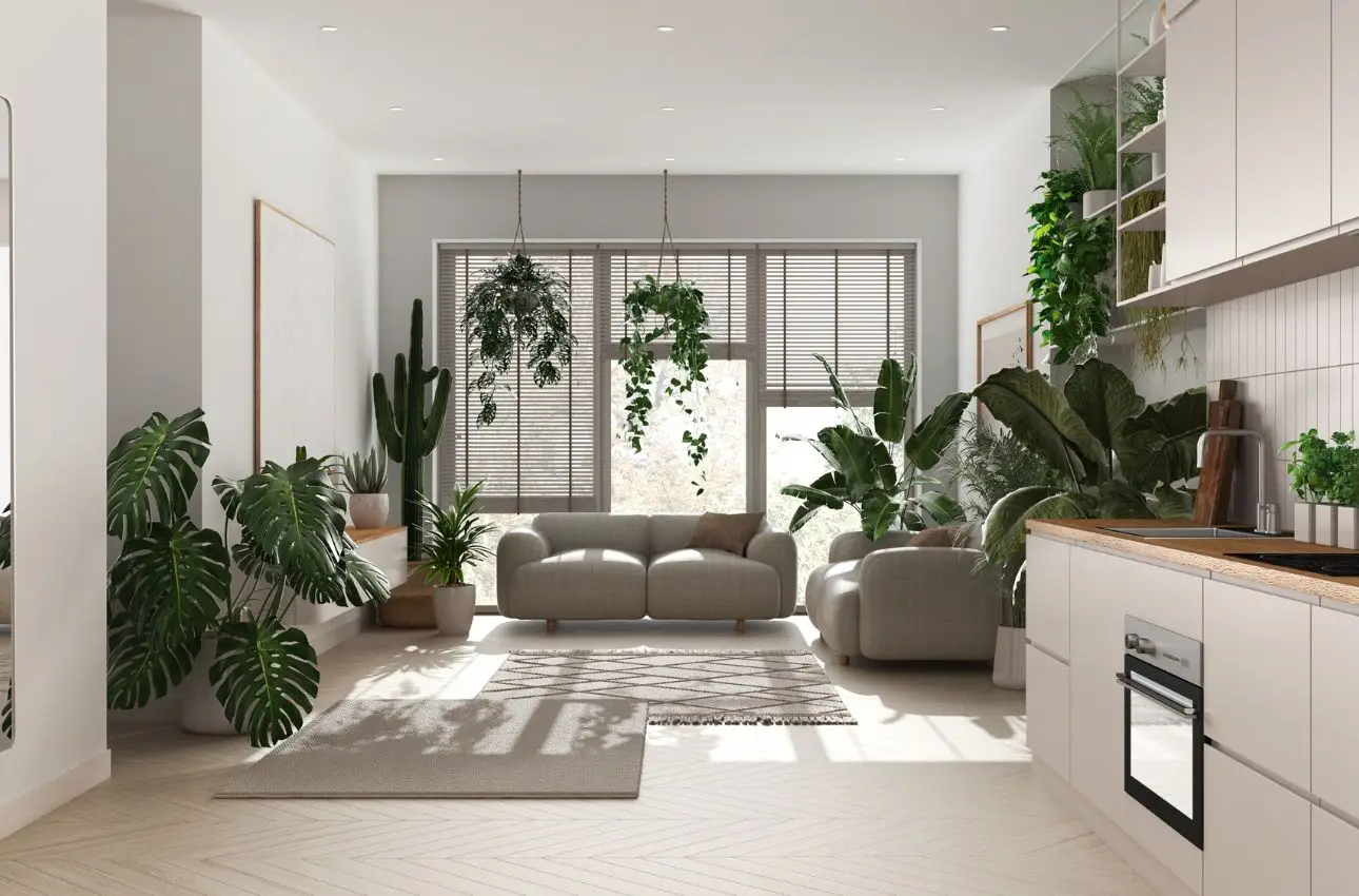 Piante da appartamento che purificano e rinfrescano l’aria: la selezione dei botanici per l’estate 2025 Piante da appartamento che purificano e rinfrescano l’aria: la selezione dei botanici per l’estate 2025