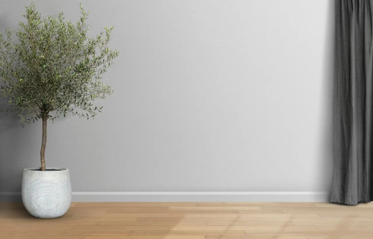 Come scegliere la pianta d’appartamento che abbassa la temperatura in casa: la guida dei biologi vegetali per l’estate 2025 Come scegliere la pianta d’appartamento che abbassa la temperatura in casa: la guida dei biologi vegetali per l’estate 2025