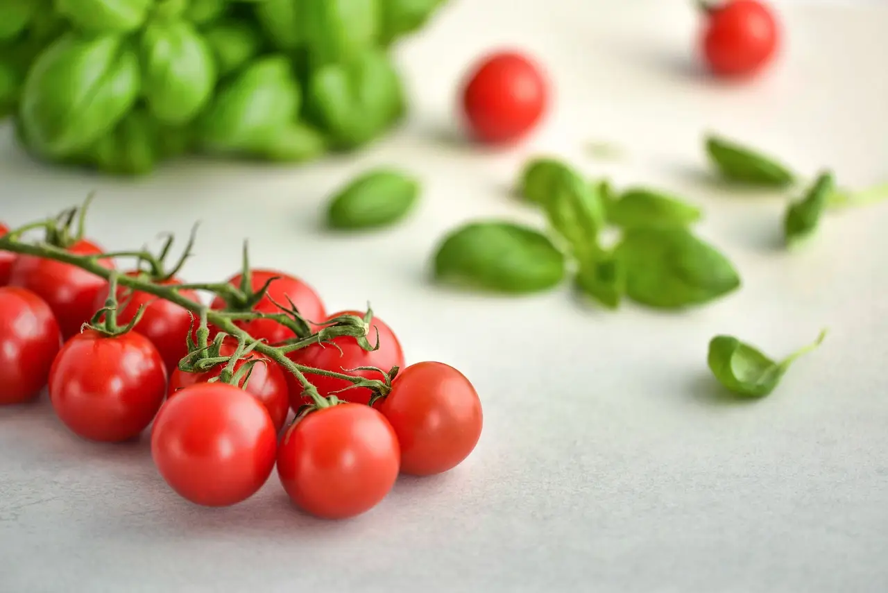 Il metodo raccomandato dagli agronomi per difendere i pomodori dal marciume apicale a giugno Il metodo raccomandato dagli agronomi per difendere i pomodori dal marciume apicale a giugno