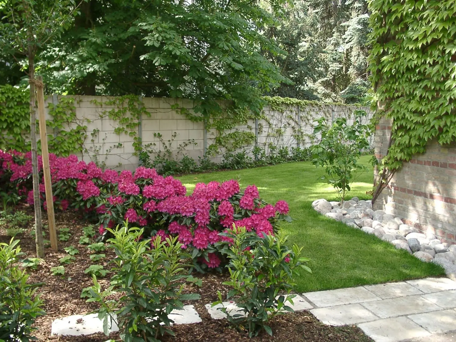 L’arbusto poco noto che trasforma il giardino in un’oasi profumata anche in inverno: la selezione dei vivaisti L’arbusto poco noto che trasforma il giardino in un’oasi profumata anche in inverno: la selezione dei vivaisti