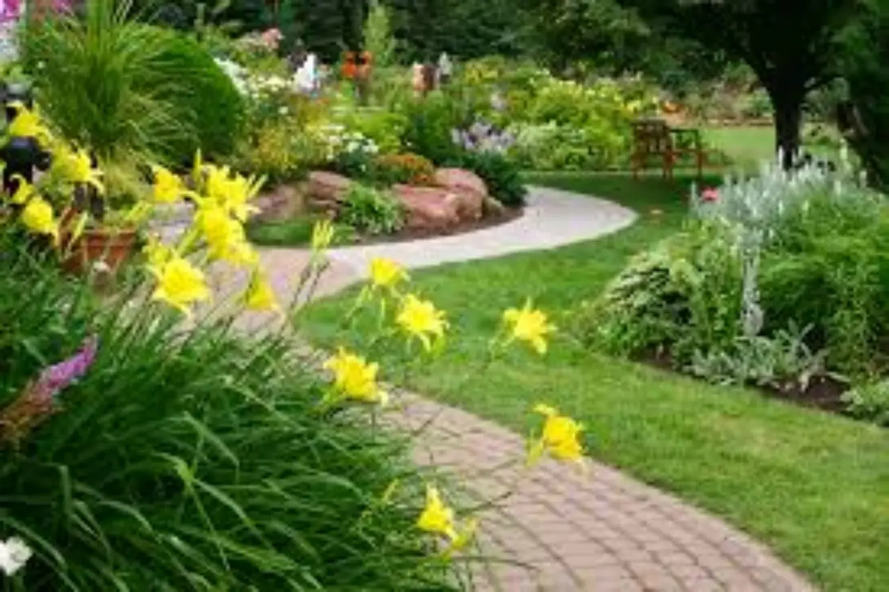 L’arbusto poco noto che trasforma il giardino in un’oasi profumata anche in inverno: la selezione dei vivaisti L’arbusto poco noto che trasforma il giardino in un’oasi profumata anche in inverno: la selezione dei vivaisti