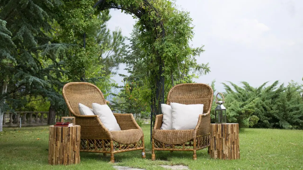 L’arbusto poco noto che trasforma il giardino in un’oasi profumata anche in inverno: la selezione dei vivaisti L’arbusto poco noto che trasforma il giardino in un’oasi profumata anche in inverno: la selezione dei vivaisti