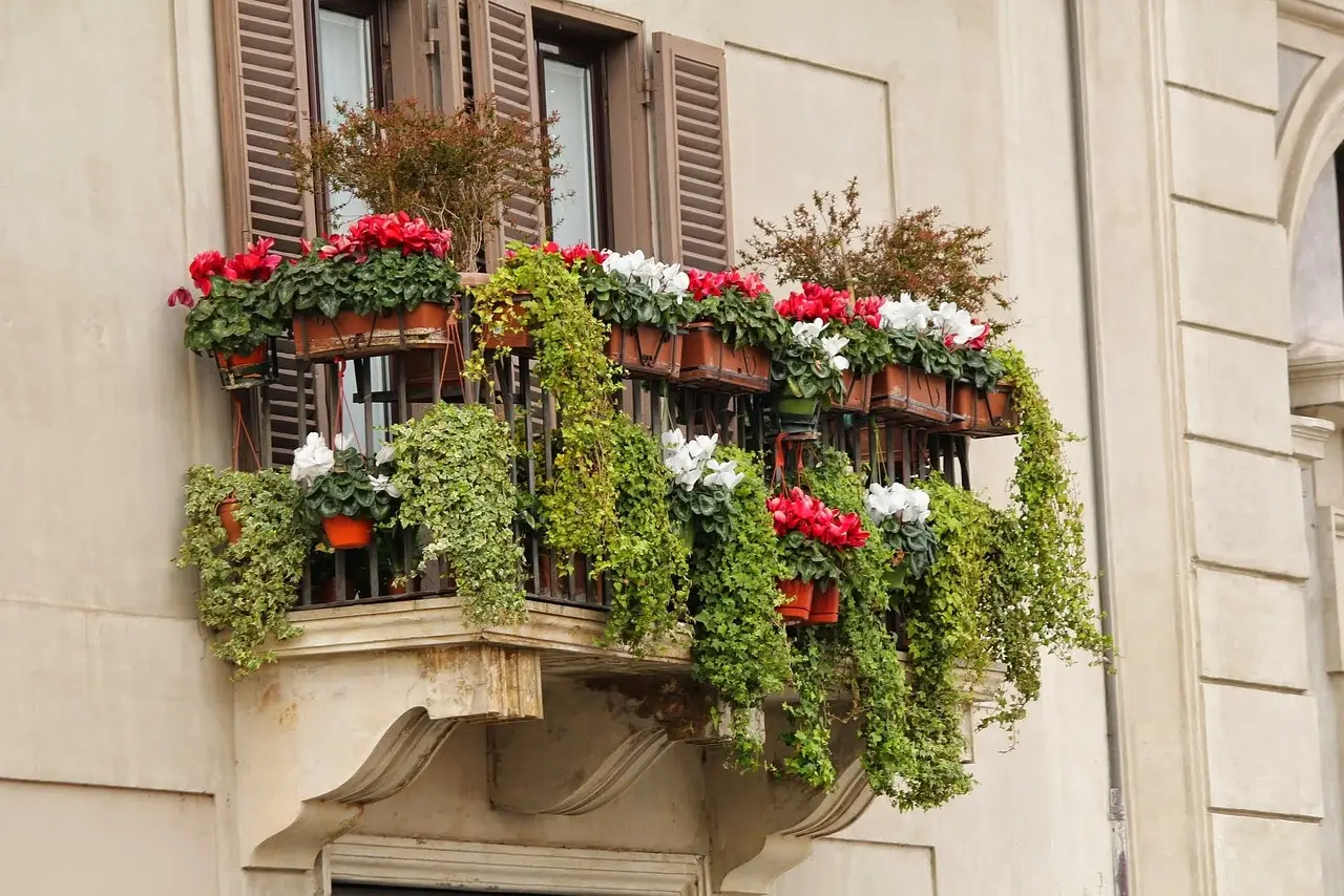 Fiori resistenti al vento di giugno: la selezione dei vivaisti per terrazzi esposti Fiori resistenti al vento di giugno: la selezione dei vivaisti per terrazzi esposti