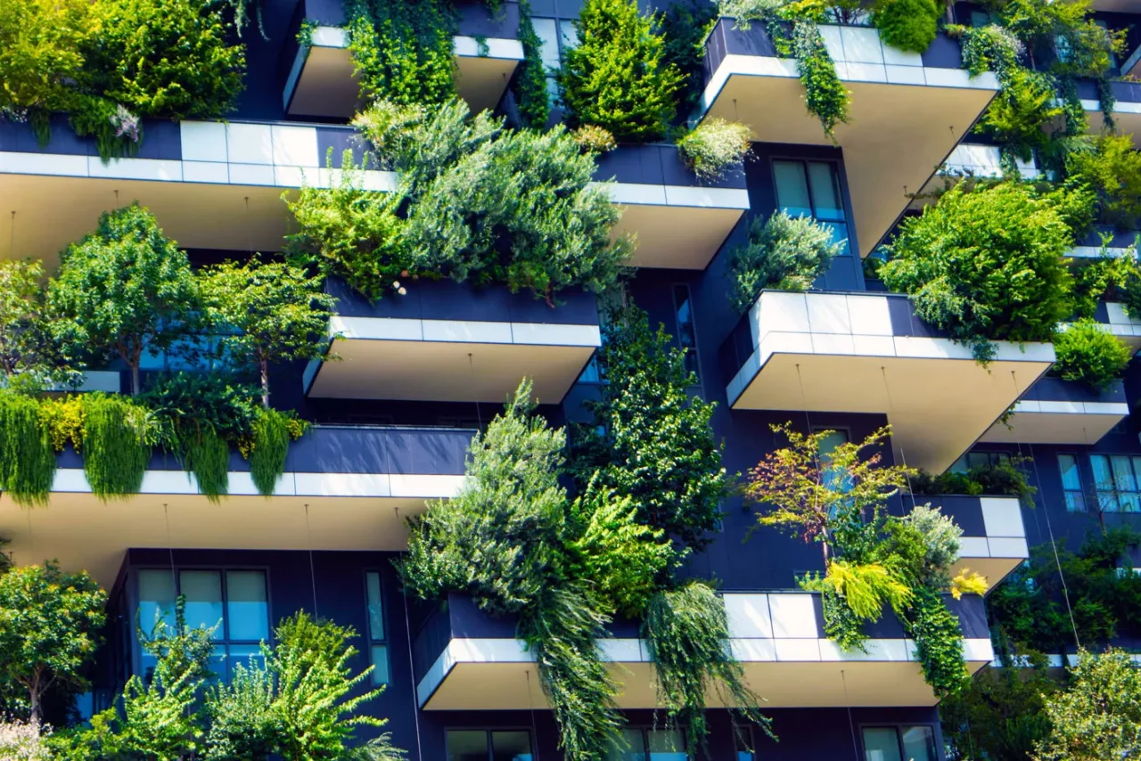 Fiori resistenti al vento di giugno: la selezione dei vivaisti per terrazzi esposti Fiori resistenti al vento di giugno: la selezione dei vivaisti per terrazzi esposti