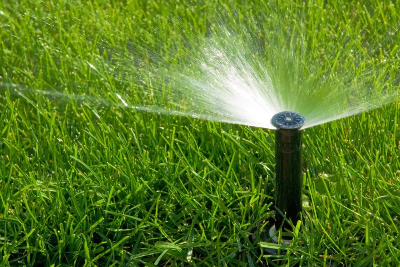 Come irrigare il giardino in estate senza sprecare acqua: il metodo più efficace Come irrigare il giardino in estate senza sprecare acqua: il metodo più efficace
