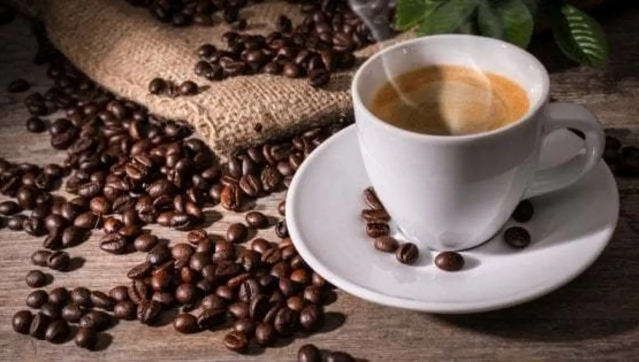 Come usare i fondi di caffè per un giardino più forte: ecco il trucco Come usare i fondi di caffè per un giardino più forte: ecco il trucco