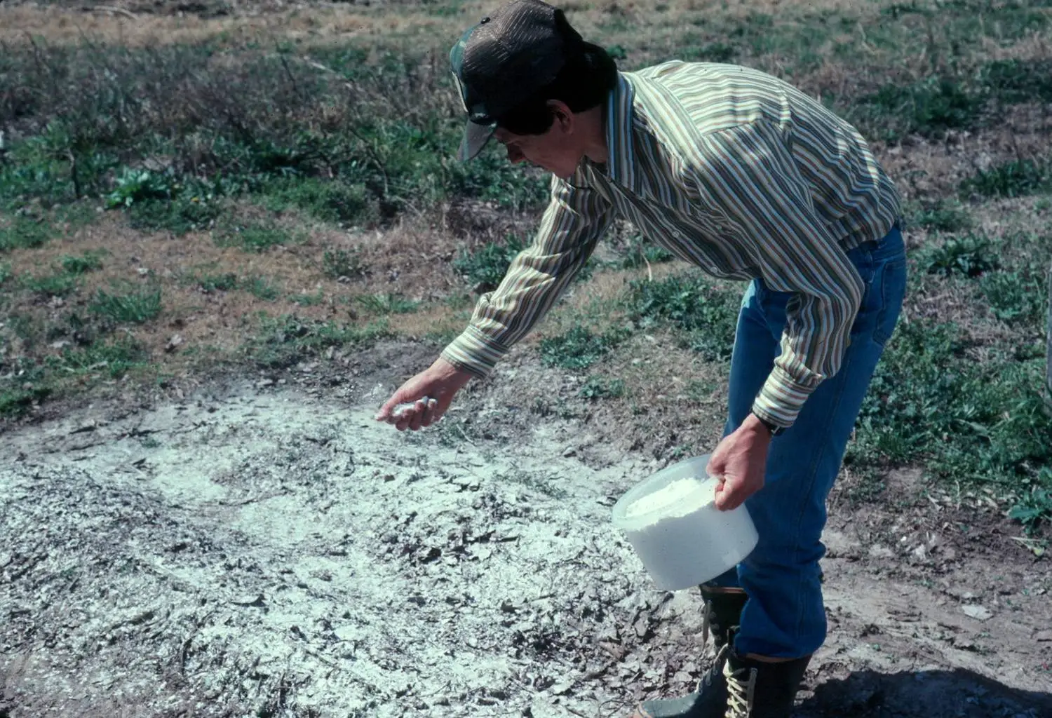 Come usare la cenere di legna per concimare ortaggi estivi: il consiglio degli agronomi per raccolti più sani Come usare la cenere di legna per concimare ortaggi estivi: il consiglio degli agronomi per raccolti più sani