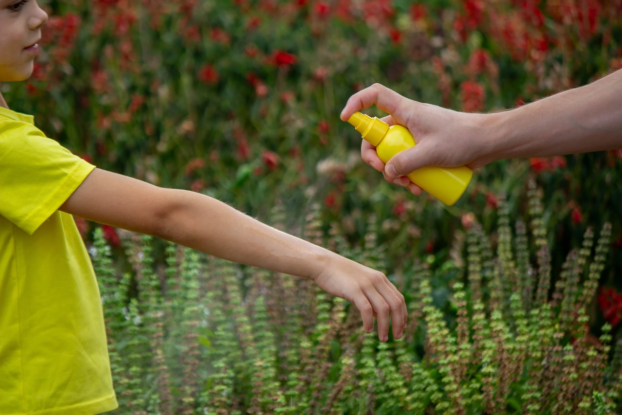 Allerta zanzare in giardino: il rimedio naturale che funziona davvero Allerta zanzare in giardino: il rimedio naturale che funziona davvero
